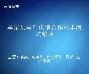 牟定县马厂供销合作社丰河购销店