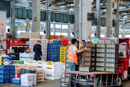 便宜到笑不动 上海隐藏的新鲜水果批发地 散户也能买 附扫货攻略