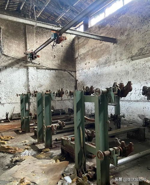 中国纺织业的明珠陨落 丹阳棉纺厂的兴衰与转型启示