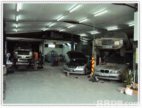 天伟车工厂 一站式汽车综合服务专家